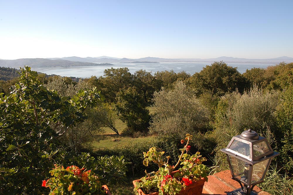 Morgenstimmung (Wohnung Viola)